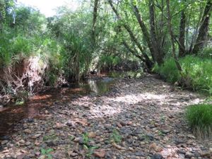 Photo 5- click for photo gallery